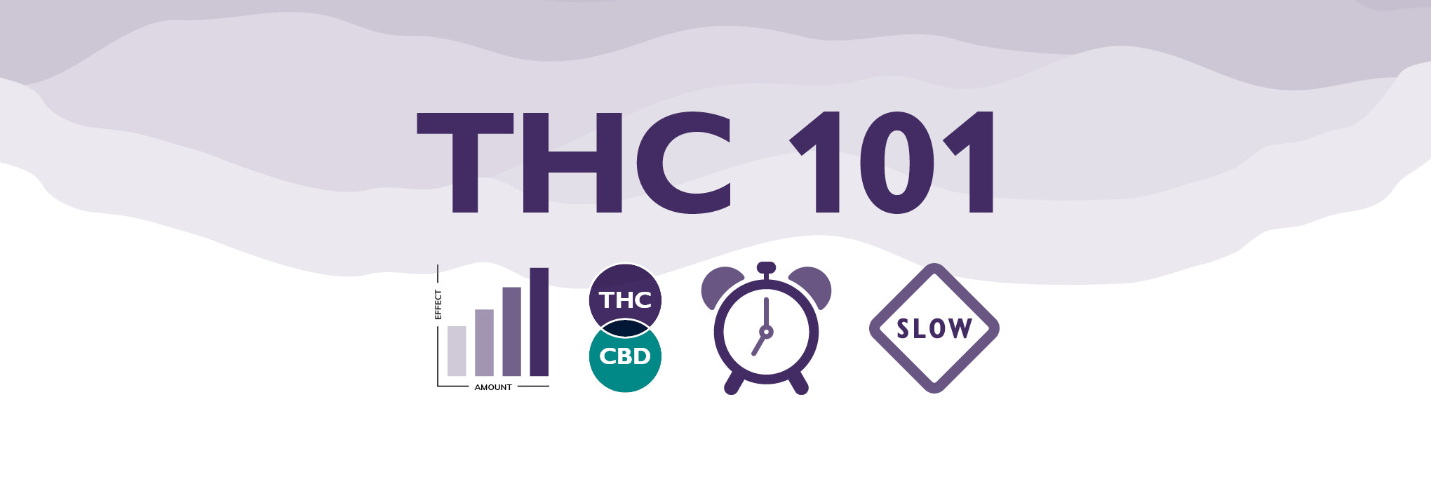 THC 101