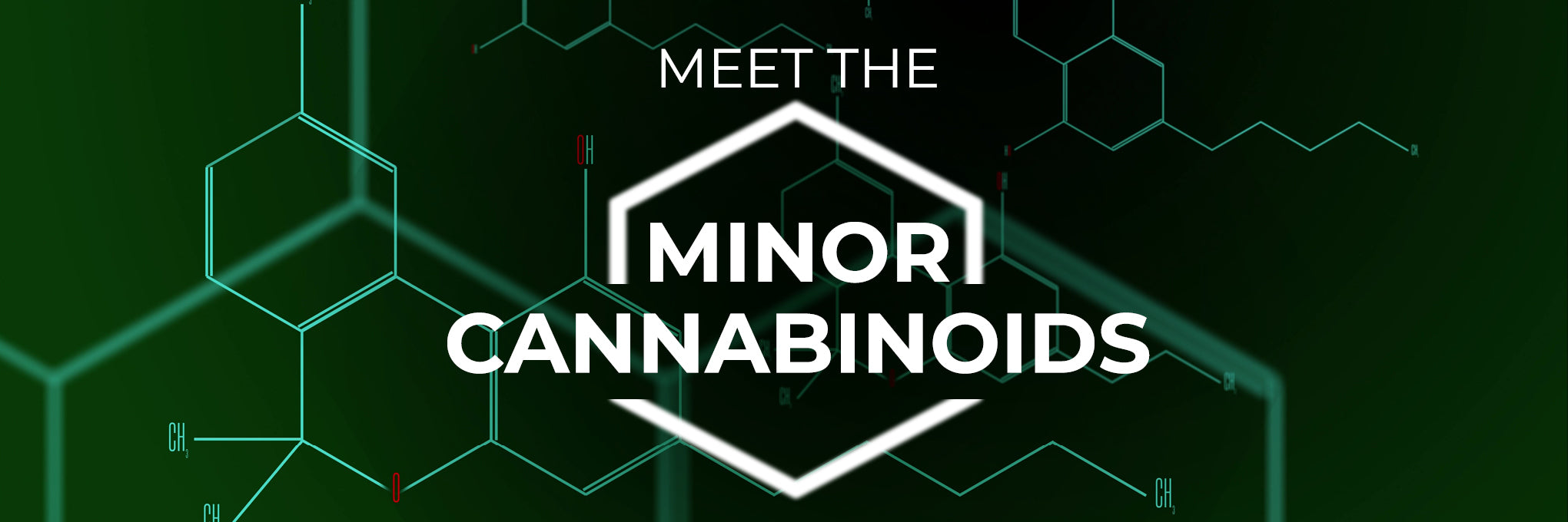 meet-the-minor-cannabinoids-blog