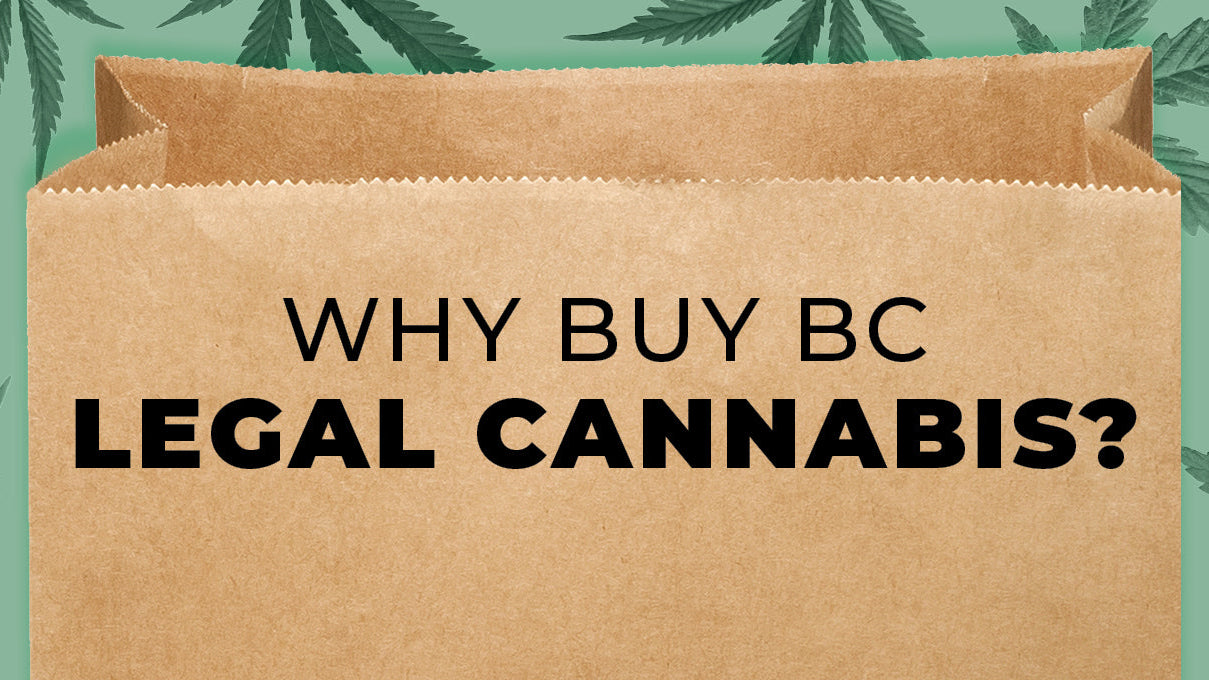 Why Buy BC Legal Cannabis?