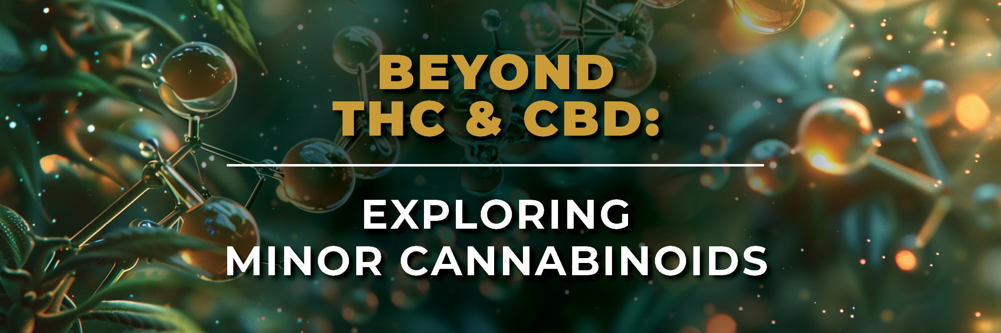 Beyond THC & CBD: Exploring Minor Cannabinoids