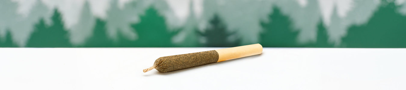 Single Infused Pre-roll