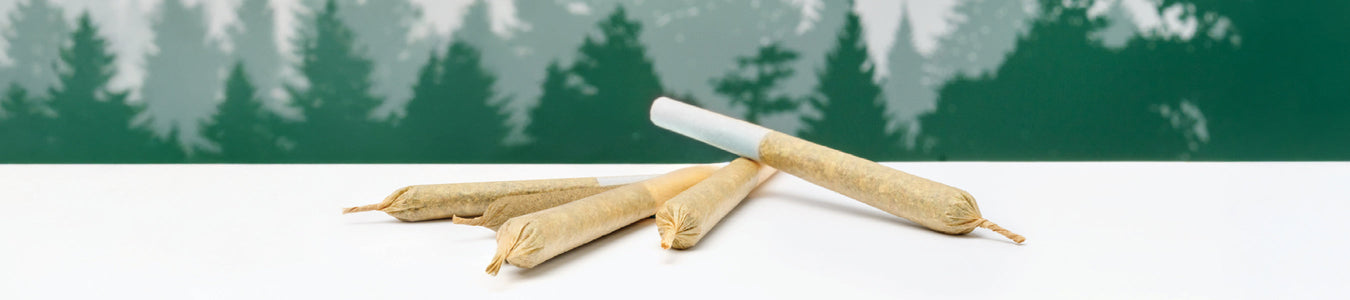 Large Format Pre-Rolls