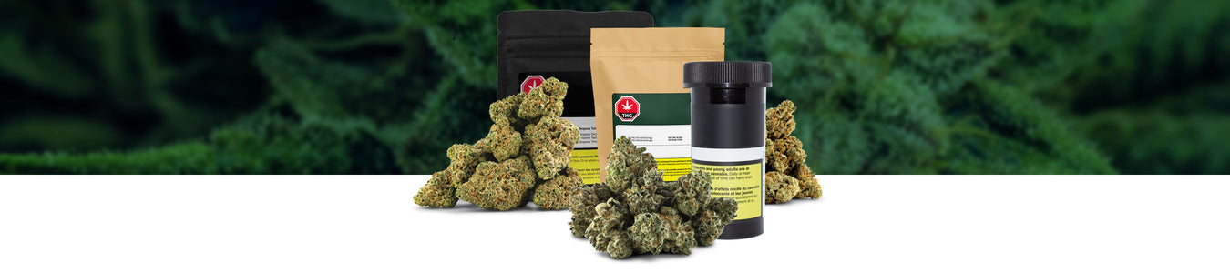 Best Selling Flower (7g & 14g)