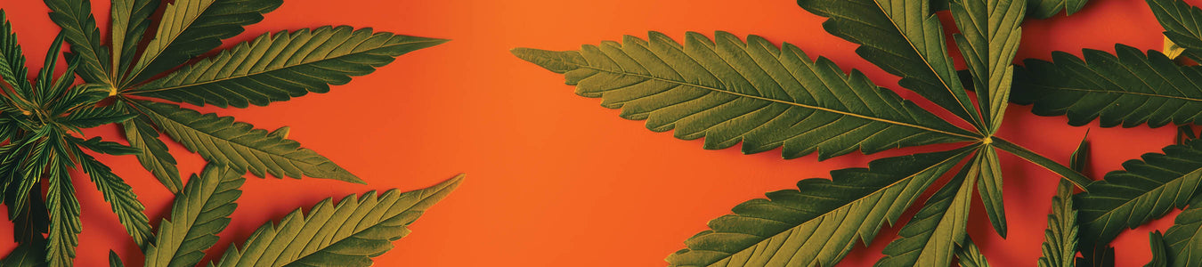 420 Sale