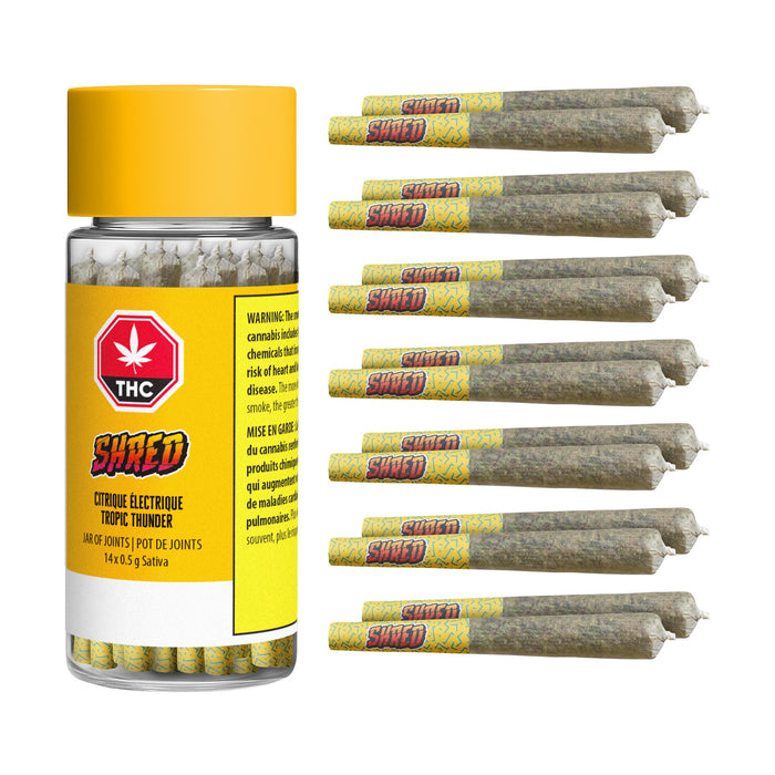 TROPIC THUNDER J'S PRE-ROLLS