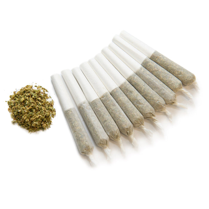 GHOST TRAIN HAZE PRE-ROLLS