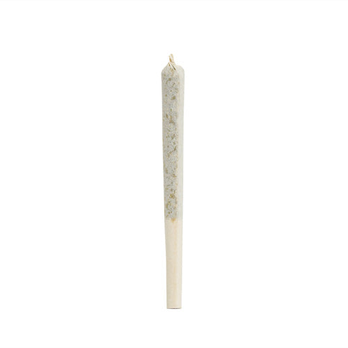 ROSIN INFUSED PRE-ROLL
