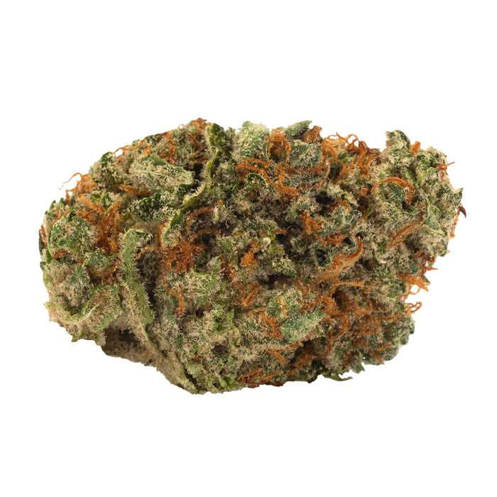 SLOW LANE INDICA ROTATIONAL