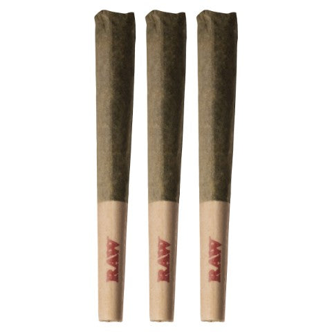 BC GRIZZLY PRE-ROLLS