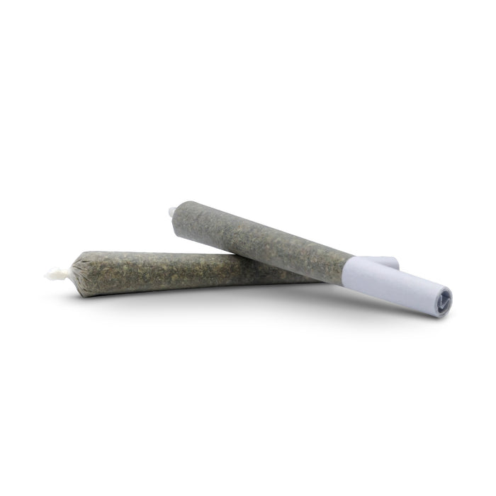 FRENCH FIRE BARB PRE-ROLLS