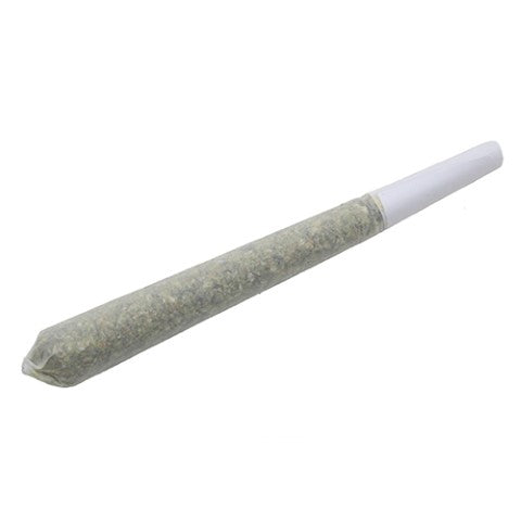 JERRY CAN PRE-ROLL
