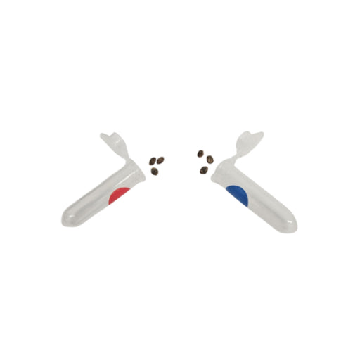 GOD'S CHOCO CAKE/STRAWBERRY O. SEEDS VARIETY PACK