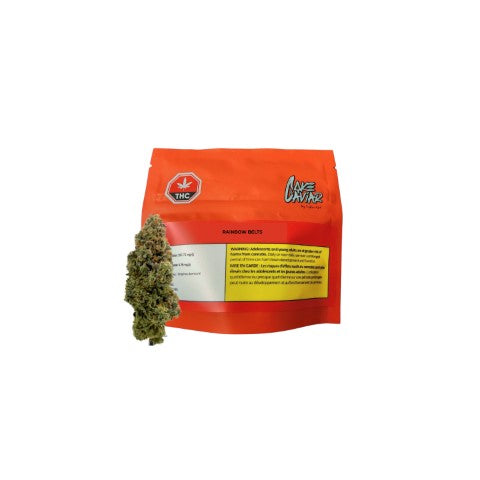 RAINBOW BELTS LTO