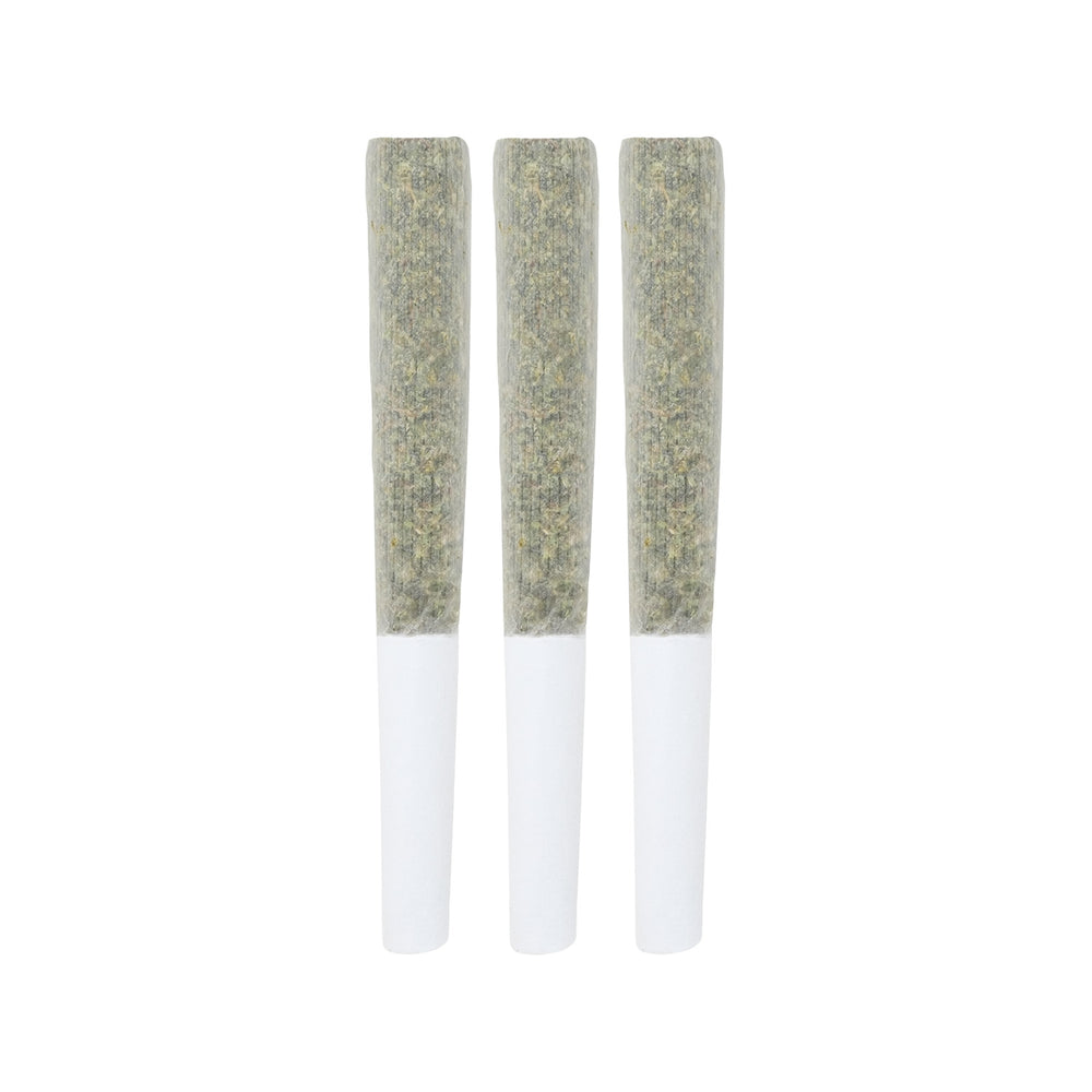 JACK TRUFFLE PRE-ROLLS