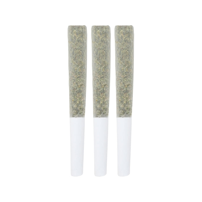 JACK TRUFFLE PRE-ROLLS