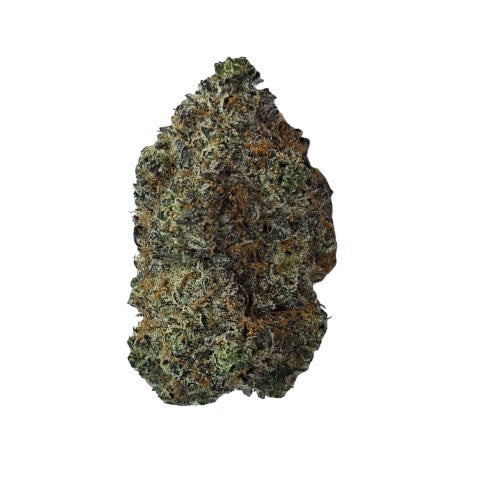 ORGANIC (LSO) MAPLE BLIZZARD