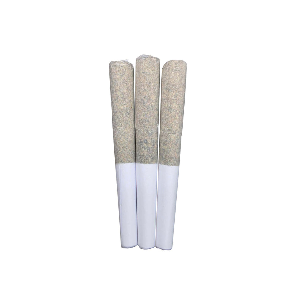 BERMUDA TRIANGLE PRE-ROLLS