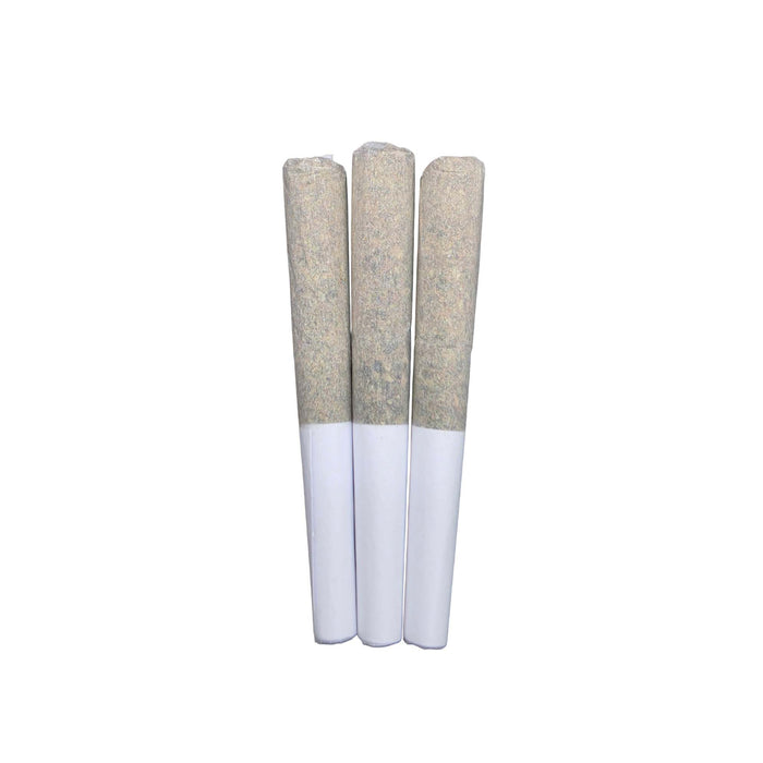BERMUDA TRIANGLE PRE-ROLLS