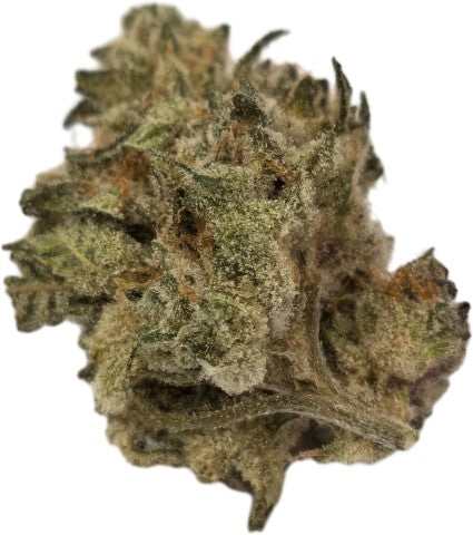 ORGANIC (LSO) GODFATHER OG