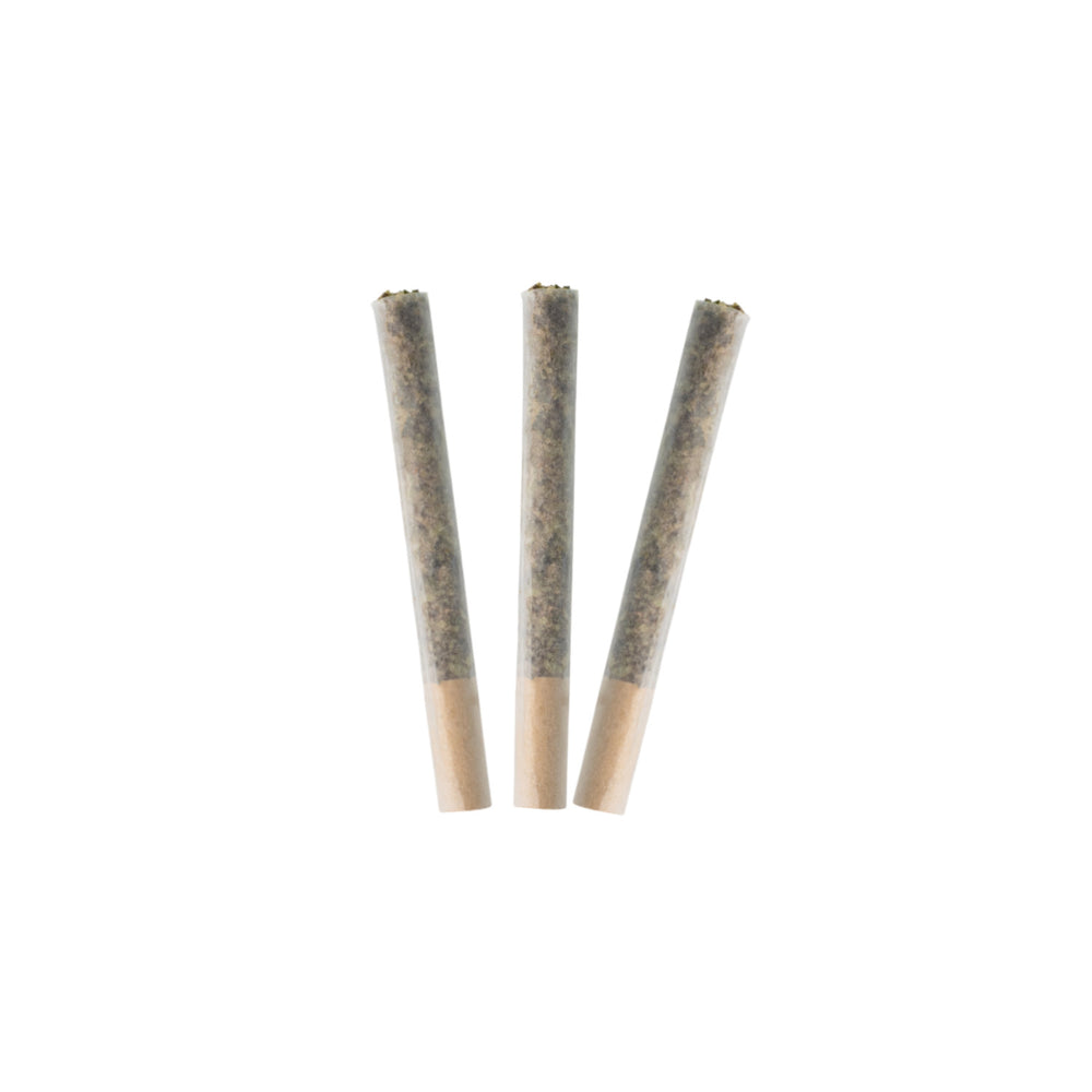 COASTAL FOG PRE-ROLLS LTO