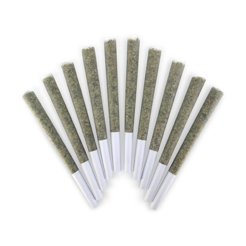 DAILY OPERATION PRE-ROLLS