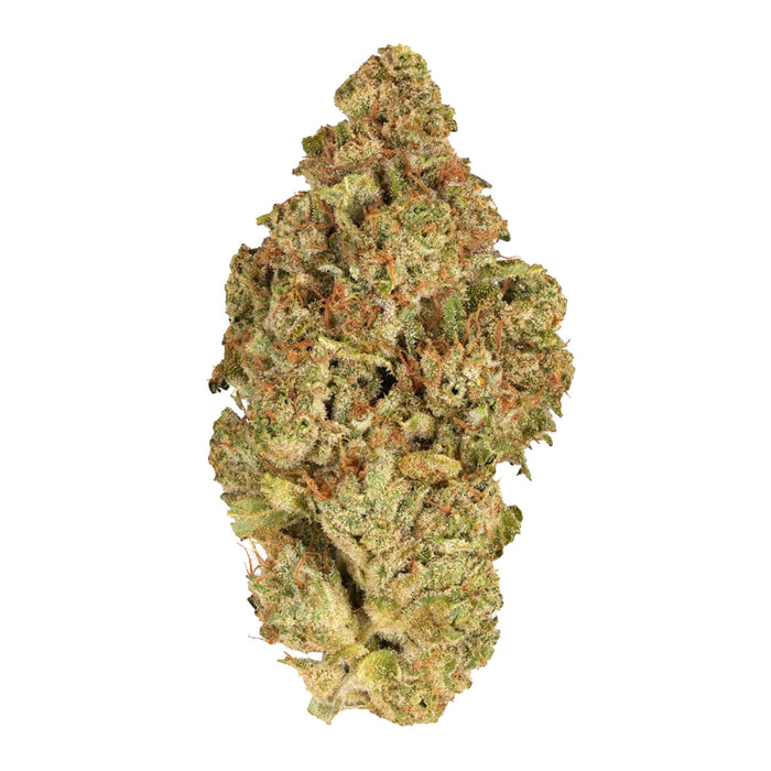 BC ORGANIC LUV AFFAIR LTO