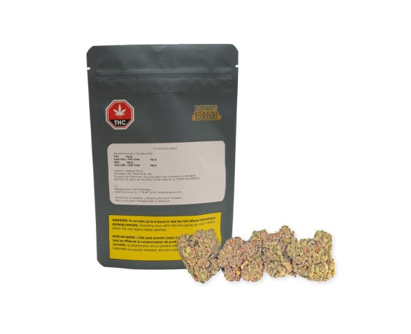 PLATINUM PINK BANANA