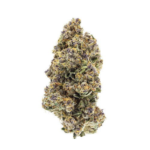 ORGANIC TRIANGLE QUEEN LTO