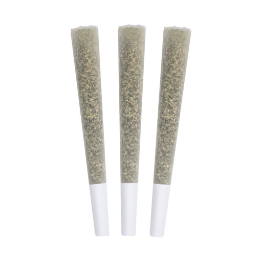 GASTRO POP'S PRE-ROLLS