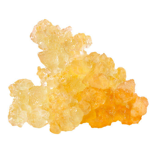 GORILLA GRAPE LIVE RESIN CAVIAR