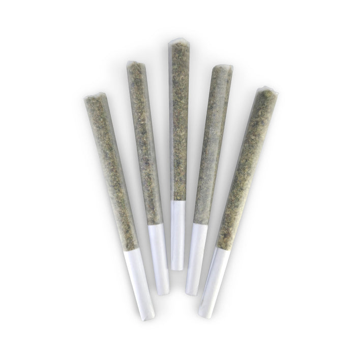 FRENCH BEIGNET PRE-ROLLS