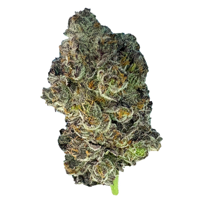 PINK ZKITTLEZ LTO