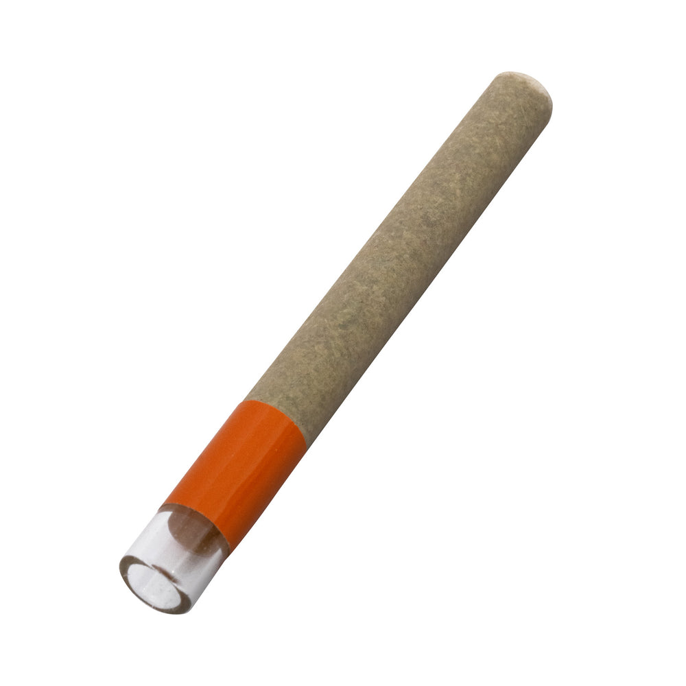 ULTRA ORANGE HASH HOLE INFUSED PRE-ROLL LTO