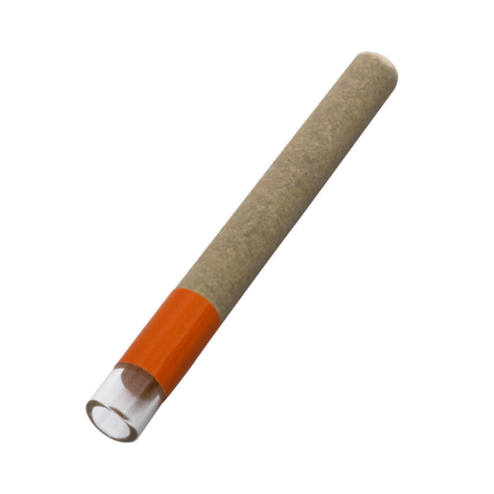 ULTRA ORANGE HASH HOLE INFUSED PRE-ROLL LTO