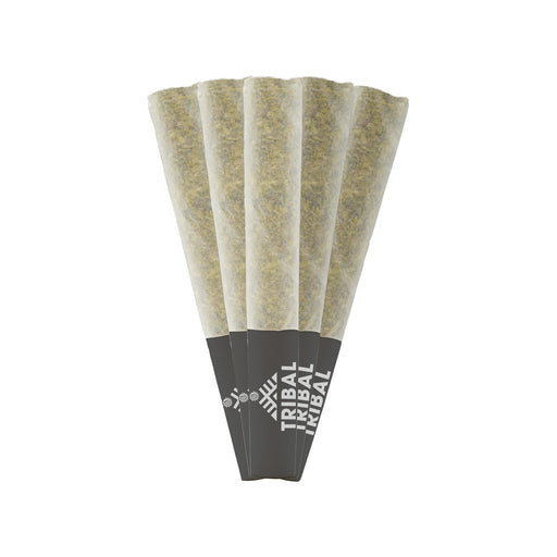 CUBAN LINX PRE-ROLLS