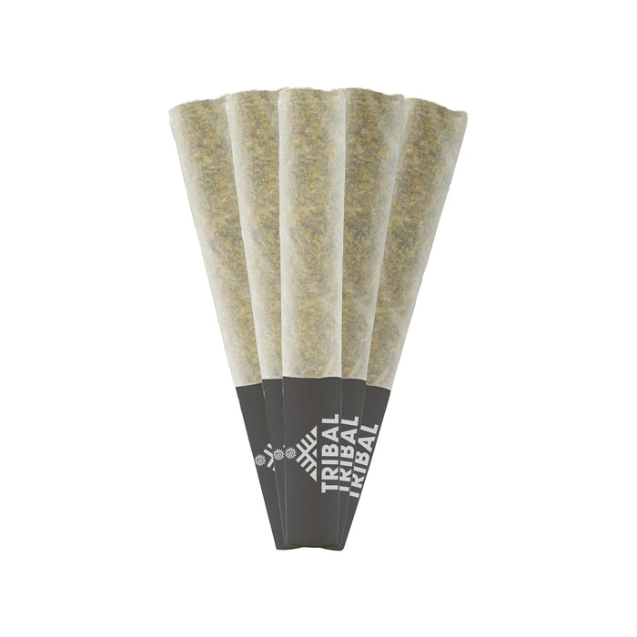 CUBAN LINX PRE-ROLLS