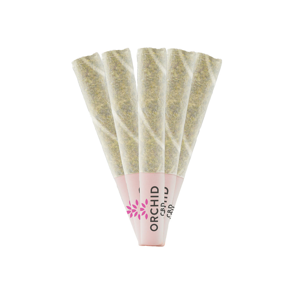 CBD RNTZ PRE-ROLLS