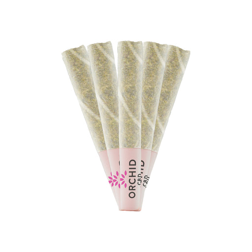 CBD RNTZ PRE-ROLLS