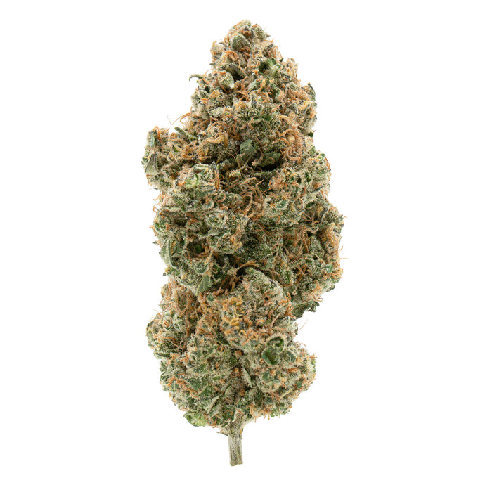 BC ORGANIC TANGERINE SUNRISE