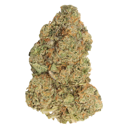 M.TAI X JUNGLE CAKE LTO