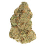 M.TAI X JUNGLE CAKE LTO