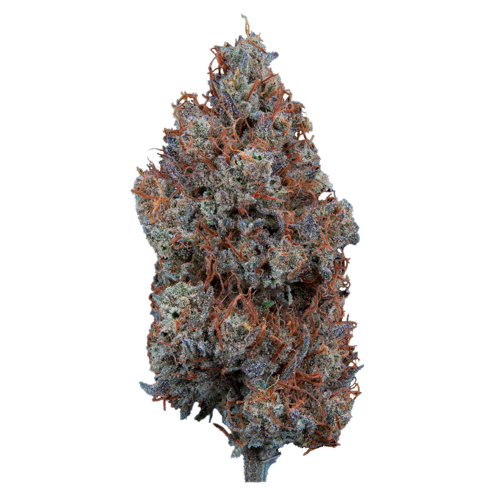 MYSTIC MOUNTAIN 1.5:1 FLOWER