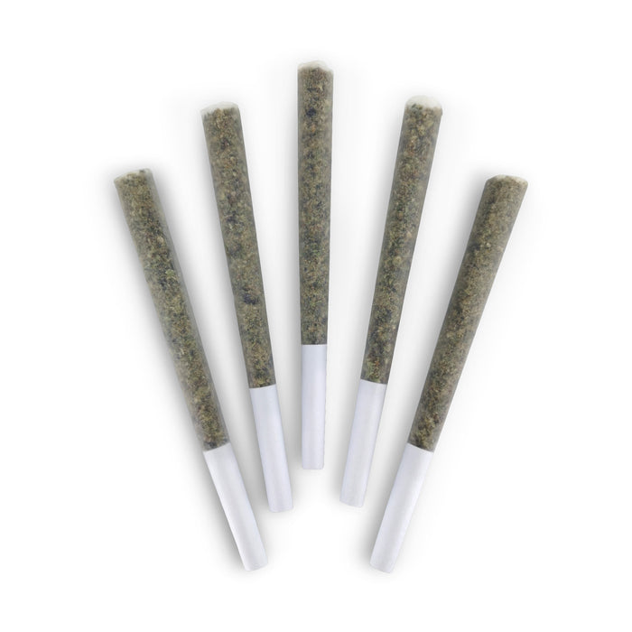 NIGHT ARCADE PRE-ROLLS