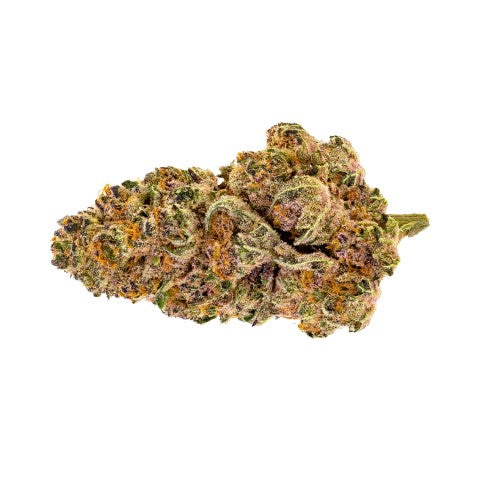 PURPLE FOG LTO