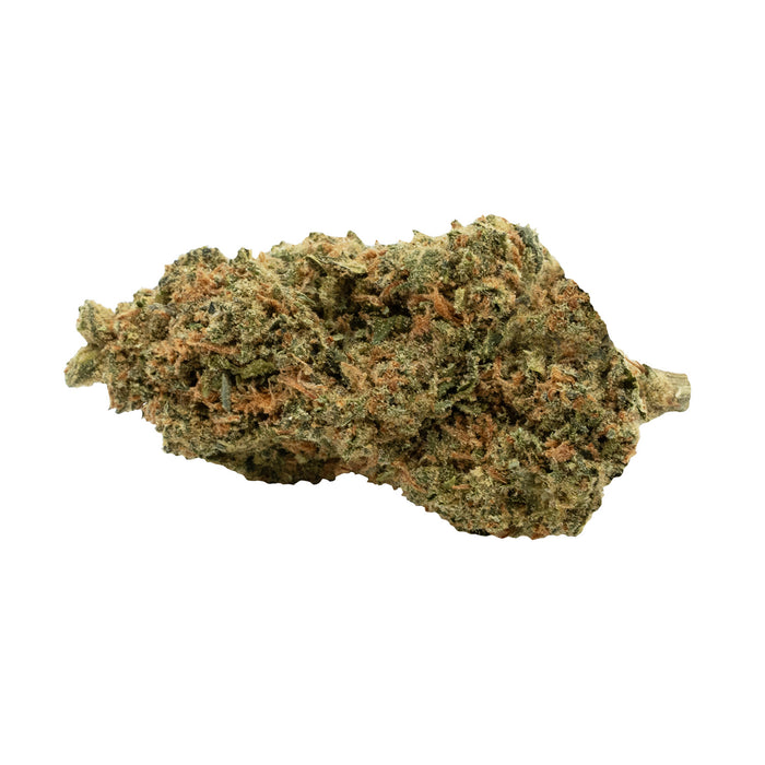 C99 HAZE