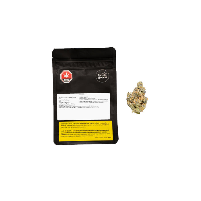 GARLIC HAZE