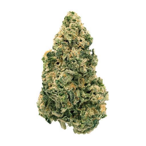 GALACTIC JACK