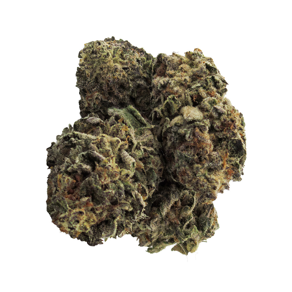 CHERRY PUNCH DRIED FLOWER