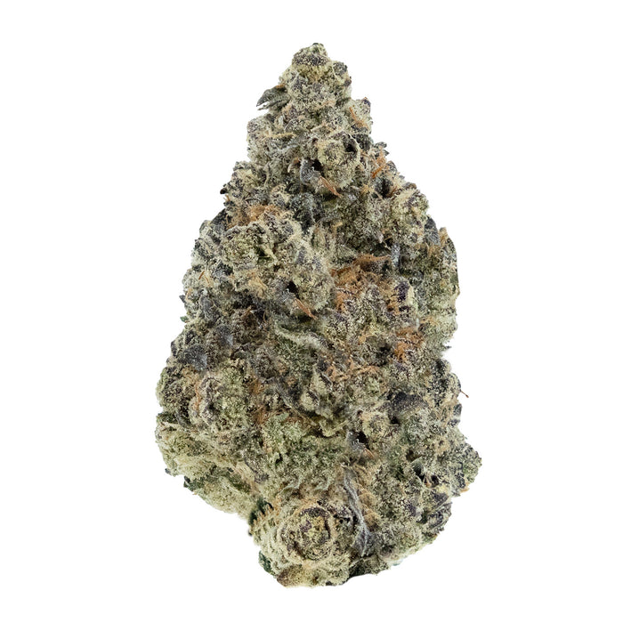 SUNSET SHERBET CRAFT FLOWER