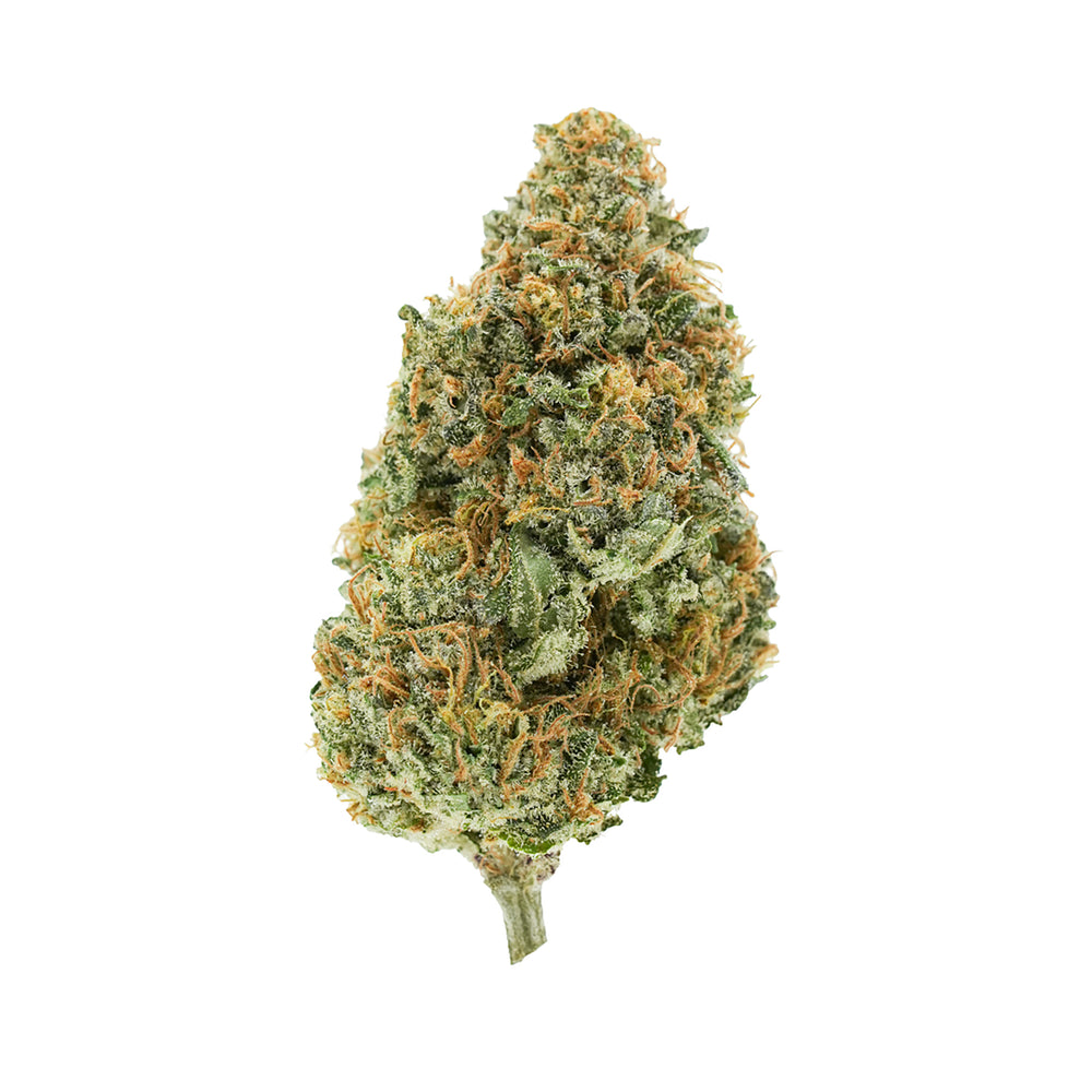 BC ORGANIC PLUMZ LTO